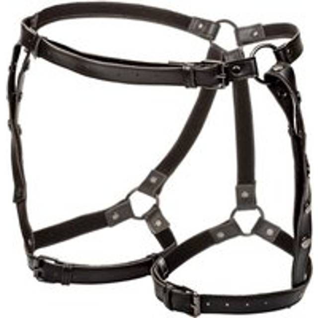 CalExotics Euphoria Plus Size Riding Thigh Harness