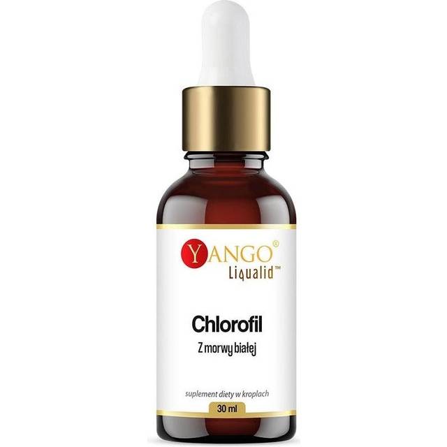Yango - White Mulberry Chlorophyll In Drops (30 ml)