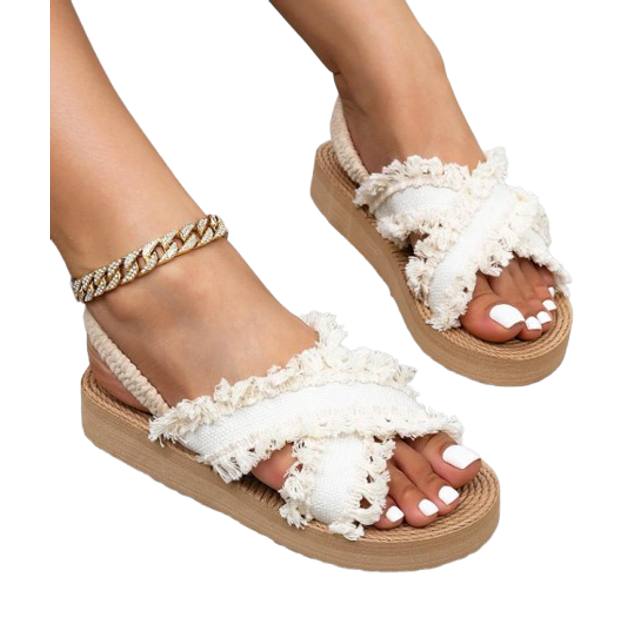 SHEIN Women Chunky Heel Low Heel Wedge Sandals, Criss Cross Strap Open Toe Versatile Casual Slip-On Beach Travel Summer Bohemian Gladiator Sandals, Colorblo
