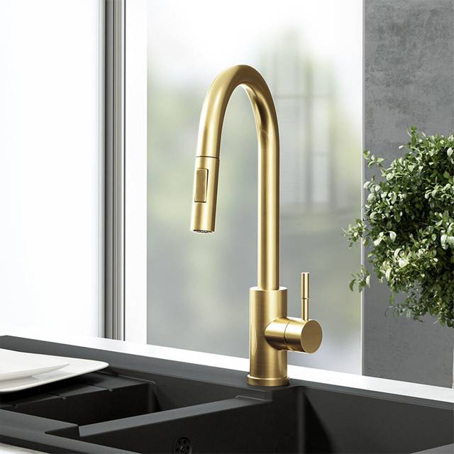 Nes Home Brushed Brass Modern Pull Out Kitchen Mixer Tap - One Size