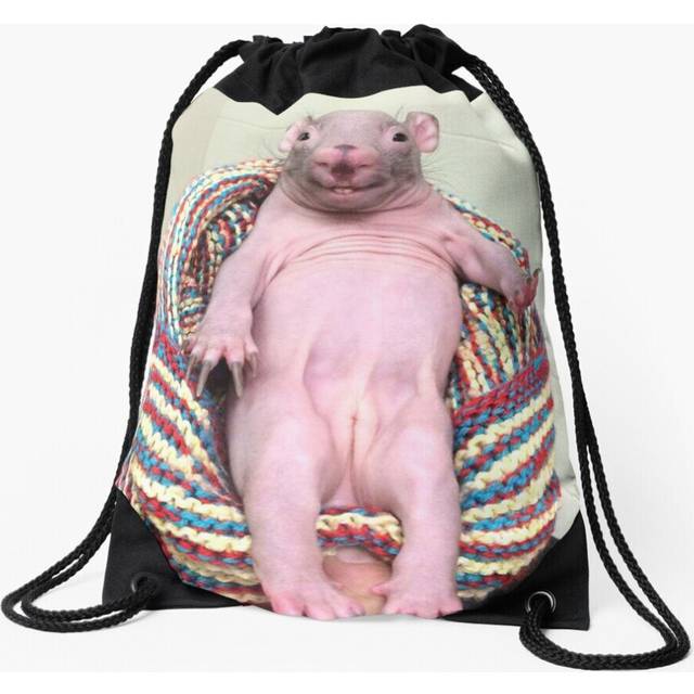 Drawstring Bag Naked Mole Rat In Chair Sport Gym Shoe Backpack