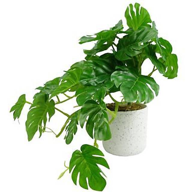 30cm Artificial Green Potted Monstera Trailing Plant