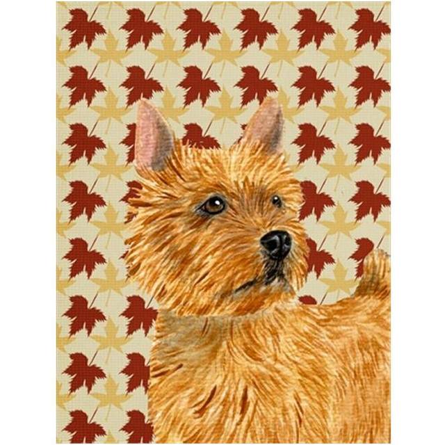 40 x 40 in. Norwich Terrier Fall Leaves Portrait Flag Canvas House Size