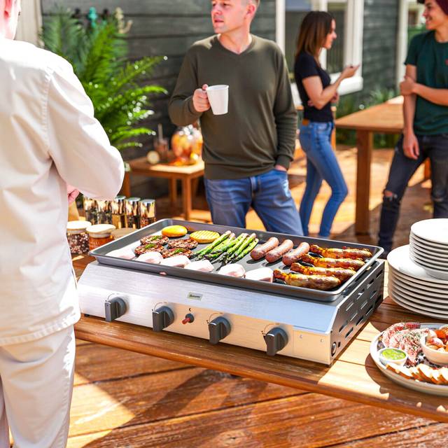 Alfresco Gas Grill, Gas BBQ with Non-Stick Griddle for Camping, Silver Tone, none