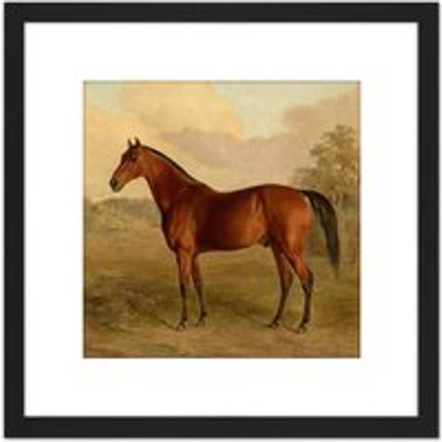 Troye Kentucky Woodpecker 1834 Brown Horse Painting 8X8 Inch Square Wooden Framed Wall Art Print Picture with Mount - Black - One Size