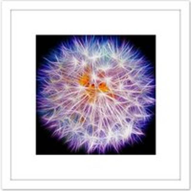 Painting Digital Neon Dandelion Head 8X8 Inch Square Wooden Framed Wall Art Print Picture with Mount - White - One Size