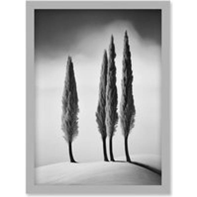 Wall Art Print Group of Cypress Trees on Snowy Hill Minimalist Black and White Photograph Cypresses in Foggy Winter Landscape Artwork Framed A4 - Grey