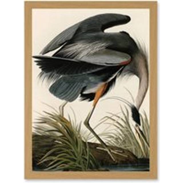 Audubon Birds Great Blue Heron Painting Nature Animals Artwork Framed Wall Art Print A4 - Tan - One Size