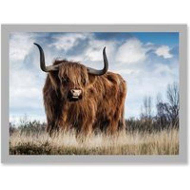 Scottish Highland Cow Hairy Coo Photo Artwork Framed Wall Art Print A4 - Grey - One Size