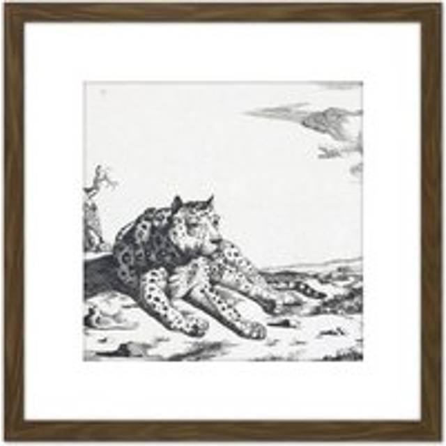 Bye Potter Lying Leopard From Front Big Cat Etching 8X8 Inch Square Wooden Framed Wall Art Print Picture with Mount - Brown - One Size
