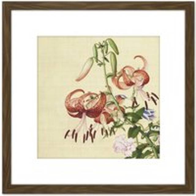 Castiglione Lilies Flower Plant Painting 8X8 Inch Square Wooden Framed Wall Art Print Picture with Mount - Brown - One Size