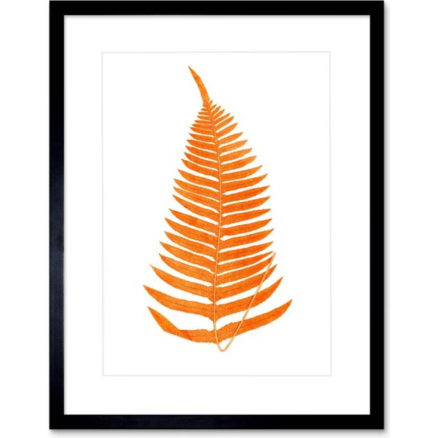 Wall Art Print Botanics Red Orange Fern Art Black Framed 9x7 inch - W7 inch x H9 inch
