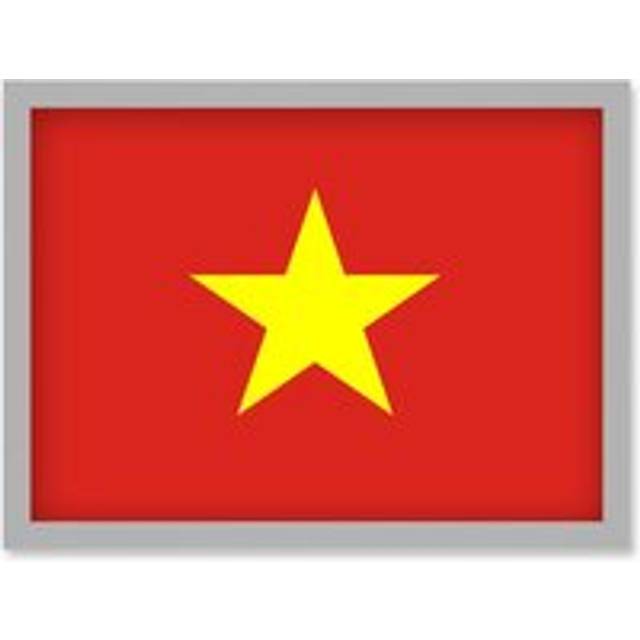 Viet Nam National Flag Vexillology World Flags Country Region Poster Artwork Framed Wall Art Print A4 - Grey - One Size