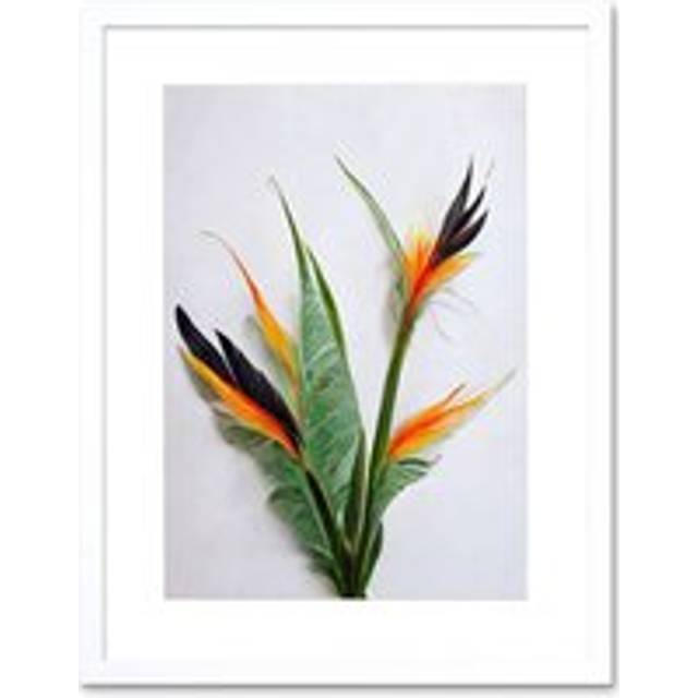 Wall Art Print Bird of Paradise Stem Leaves and Flowers Tropical Plant Botanical Artwork Framed 9X7 Inch - White - W7 inch x H9 inch