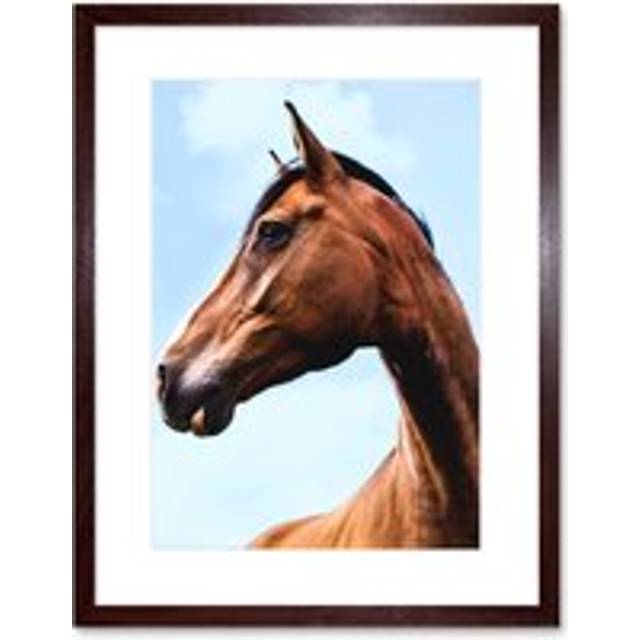 Wall Art Print Paysen Brown Horse Head Framed - W7 inch x H9 inch