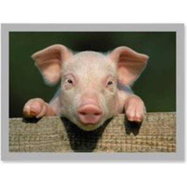 Pig Piglet Cute Farm Pink Baby Babe A4 Artwork Framed Wall Art Print - Grey - One Size