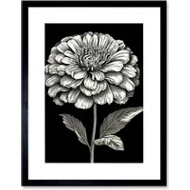 Wall Art Print Zinnia Flower Bloom Black and White Artwork Framed 9X7 Inch - W7 inch x H9 inch