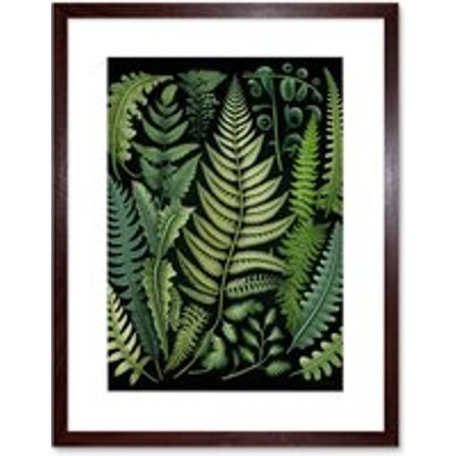 Wall Art Print Ernst Haeckel Style Fern Fronds Leaf Artwork Framed 9X7 Inch - Brown - W7 inch x H9 inch