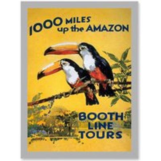 Amazon Toucan River Brazil South America Jungle Rain Forest Vintage Travel Advert Artwork Framed Wall Art Print A4 - Grey - One Size