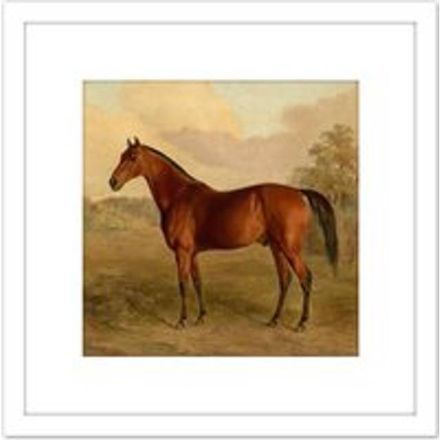 Troye Kentucky Woodpecker 1834 Brown Horse Painting 8X8 Inch Square Wooden Framed Wall Art Print Picture with Mount - White - One Size
