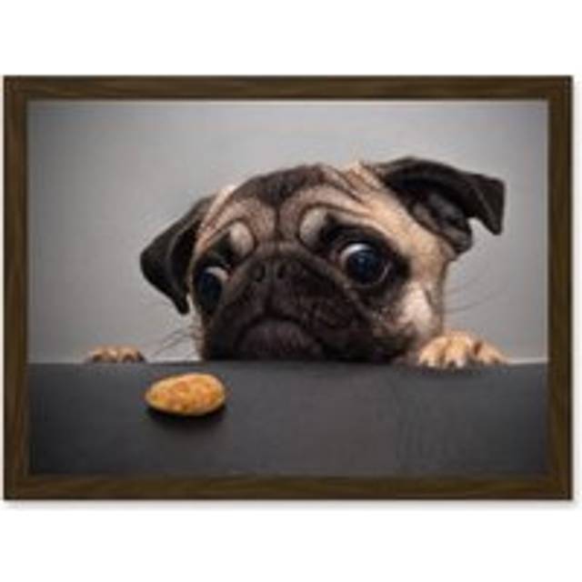 Animal Photo Pug Dog Treat Food Eyes Cute Artwork Framed Wall Art Print A4 - Brown - One Size