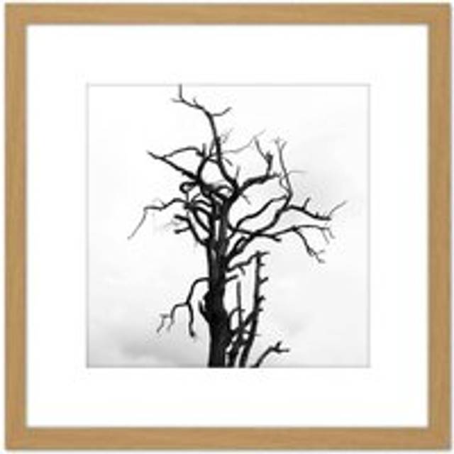 Lone Dead Tree Silhouette Black White 8X8 Inch Square Wooden Framed Wall Art Print Picture with Mount - Tan - One Size