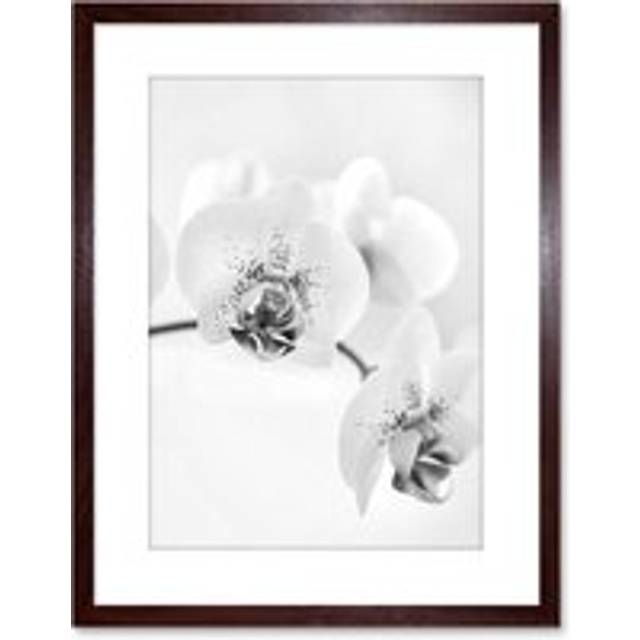 Wall Art Print Photo Nature Plant Orchid Flower Black White Artwork Framed 9X7 Inch - Brown - W7 inch x H9 inch