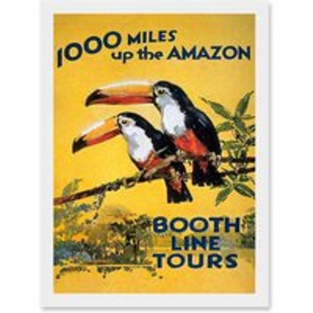 Amazon Toucan River Brazil South America Jungle Rain Forest Vintage Travel Advert Artwork Framed Wall Art Print A4 - White - One Size