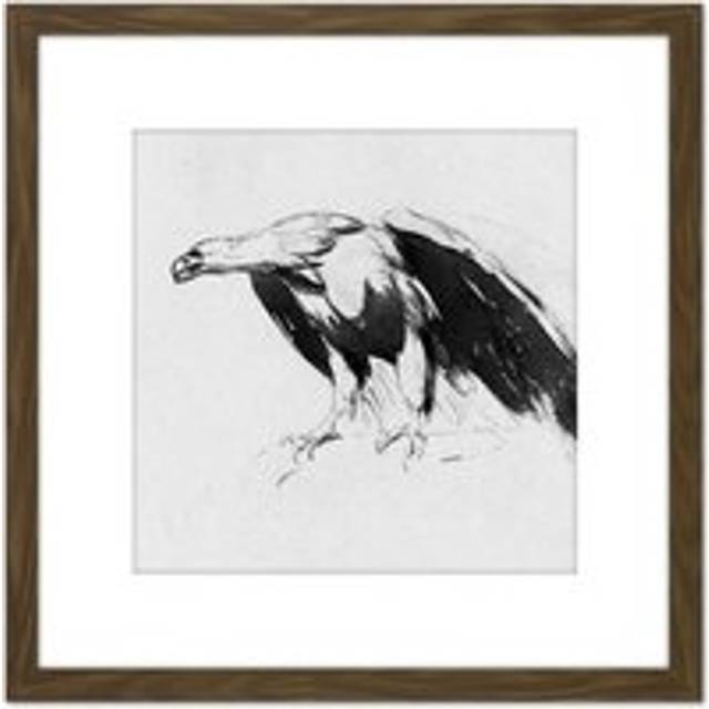 Sully Eagle Sketchbook Drawing 8X8 Inch Square Wooden Framed Wall Art Print Picture with Mount - Brown - One Size