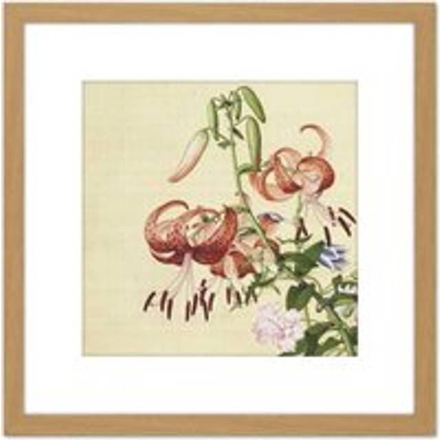 Castiglione Lilies Flower Plant Painting 8X8 Inch Square Wooden Framed Wall Art Print Picture with Mount - Tan - One Size