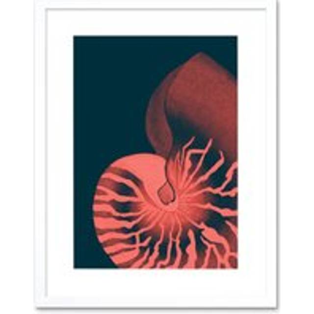 Wall Art Print Pink Seashell Nautilus Artwork Framed 9X7 Inch - White - W7 inch x H9 inch