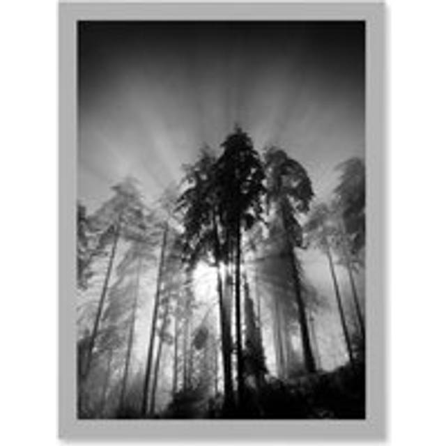 Trees Light Fog Black White Moonlit Forest A4 Artwork Framed Wall Art Print - Grey - One Size