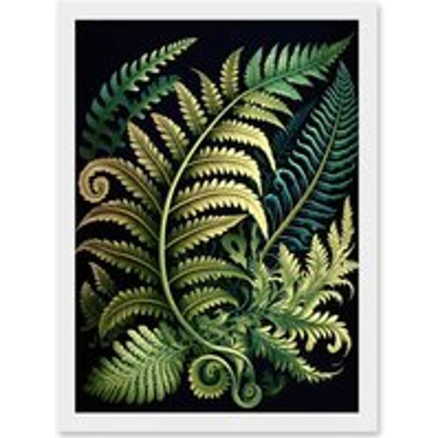 Ernst Haeckel Style Fern Fronds Leaf Illustration Artwork Framed Wall Art Print A4 - White - One Size