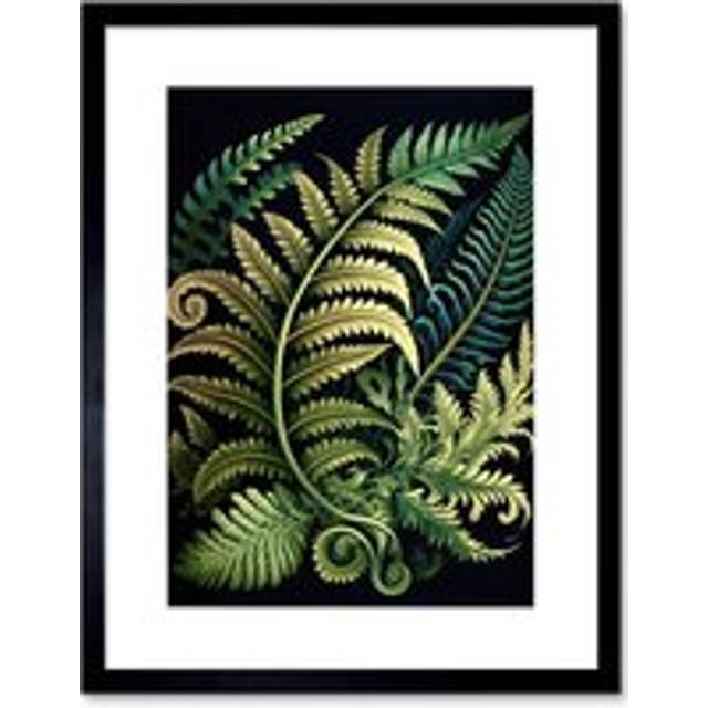 Wall Art Print Ernst Haeckel Style Fern Fronds Leaf Artwork Framed 9X7 Inch - Black - W7 inch x H9 inch