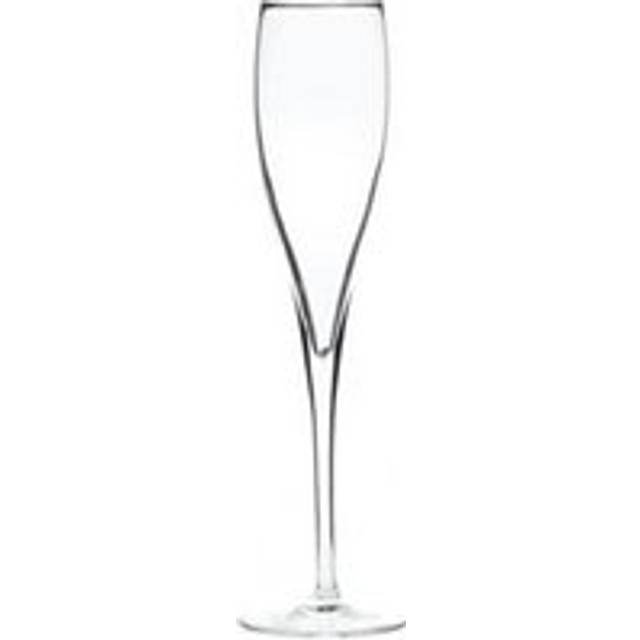 Artis Vinoteque Perlage Champagne Flute 18cl (1 x 24)