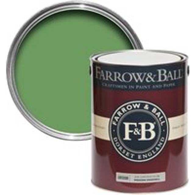 Farrow & Ball Modern Eggshell - 5l - Raw Tomatillo CB6
