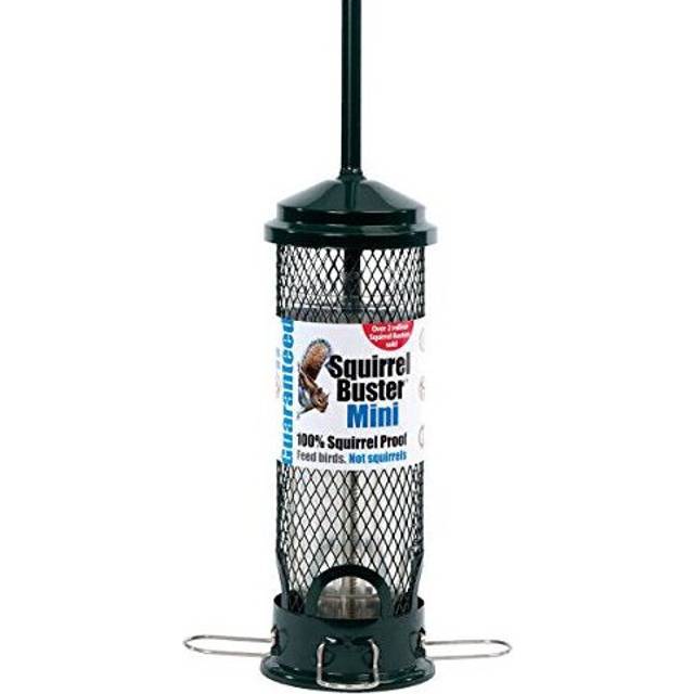 Jacobi Jayne SB-M Squirrel Proof Bird Feeder - Squirrel Buster Mini - Marauders off! Guaranteed Squirrel Proof/Metal, Green