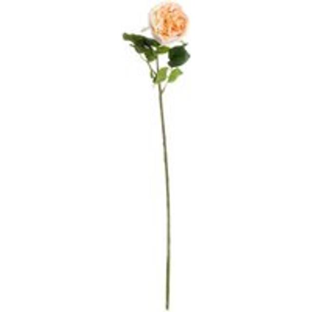 Artificial Single Stem Portland Rose - Multi - One Size