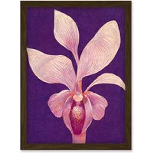 Purple Orchid Plum Pink Artwork Framed Wall Art Print A4 - Brown - One Size