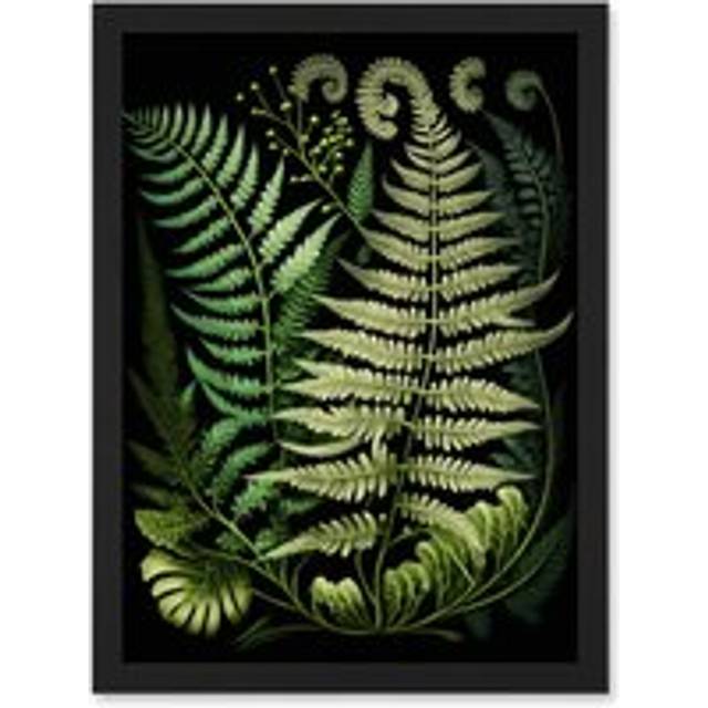 Ernst Haeckel Style Fern Fronds Illustration Artwork Framed Wall Art Print A4 - Black - One Size