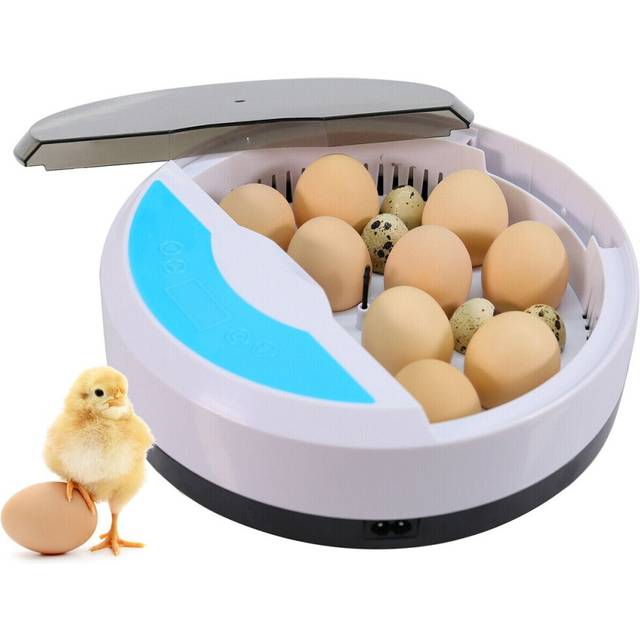 Mini Brooder Small Chicken Bird Egg Hatchers Incubator for Quail Parrot Duck