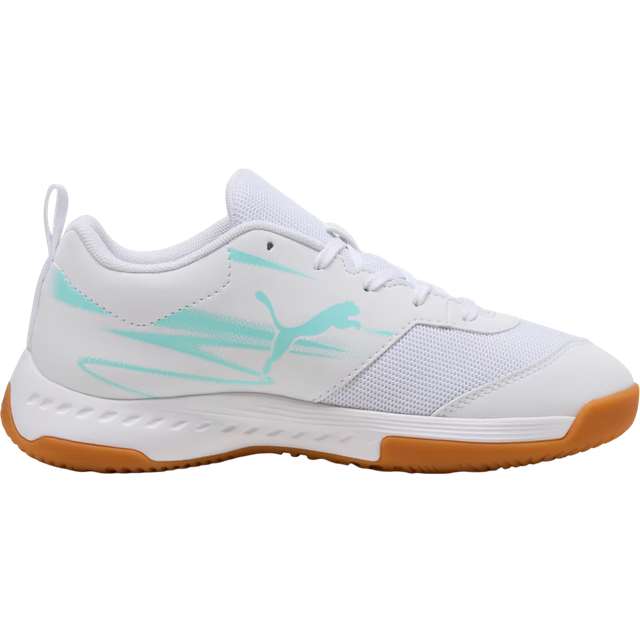 Puma Varion II Indoor Sports Shoes Youth, Green, Size 29, Shoes