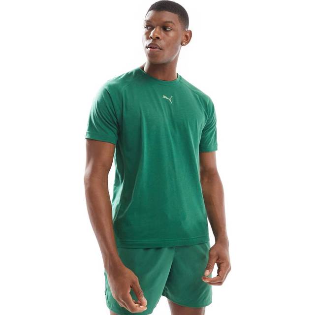 Puma Mens Running Evolve T-Shirt - Vine, Vine, Size L, Men