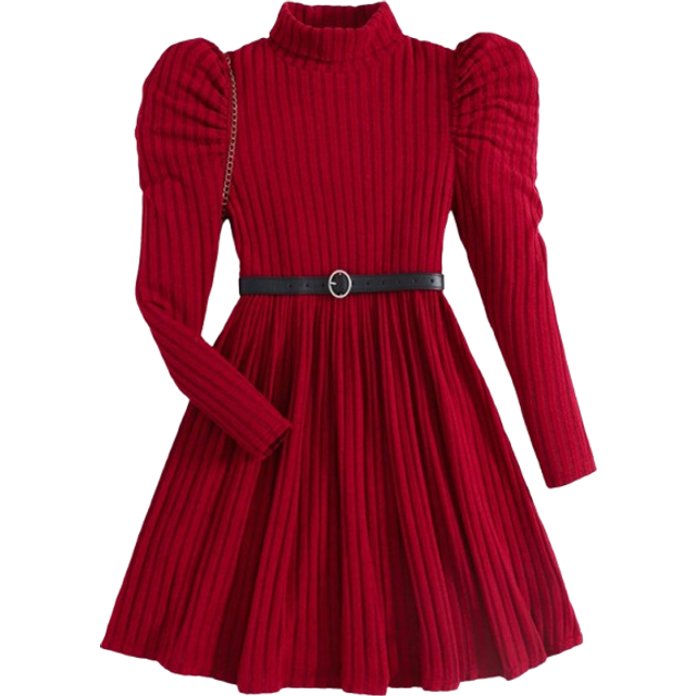SHEIN Teen Girls High Neck Long Sleeve Ribbed Fitted A-Line Knit Dress, Wine Red, Autumn/Winter, Elegant Occasion Wear