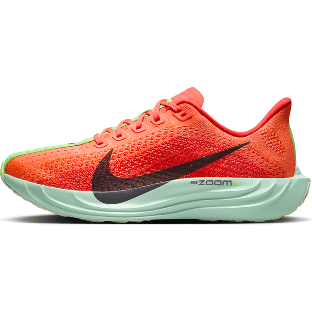 Nike Pegasus Plus Dam