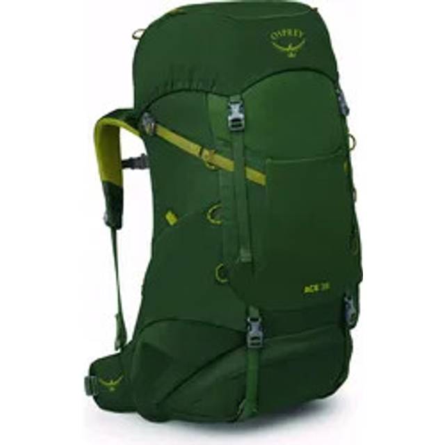 Osprey - Kid's Ace 38 - Kids' backpack size 38 l, green