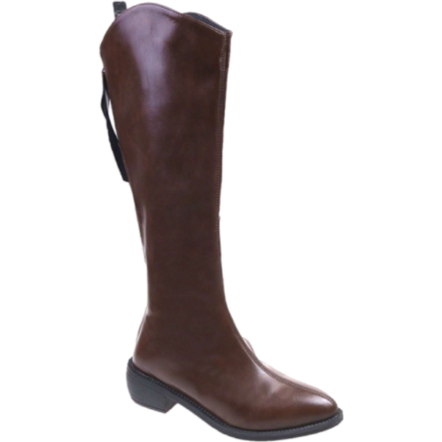 SHEIN Thermal Lined Knee High Boots For Women, Pointed Toe Chunky Heel Tall Riding Boots, Autumn/Winter