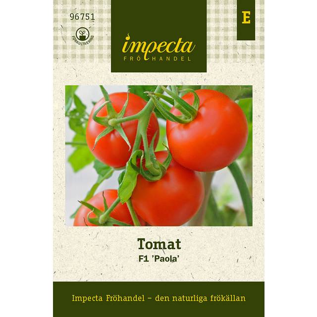 Tomat Paola F1