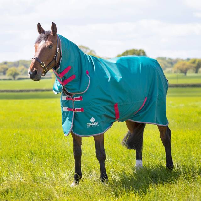 Shires Tempest Original Air Motion 0g Combo Neck Turnout Rug - 5'9