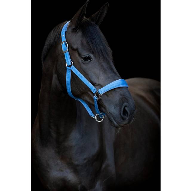 HorseGuard Diya 2.0 Grimma - Coronet Blue (SHETLAND)